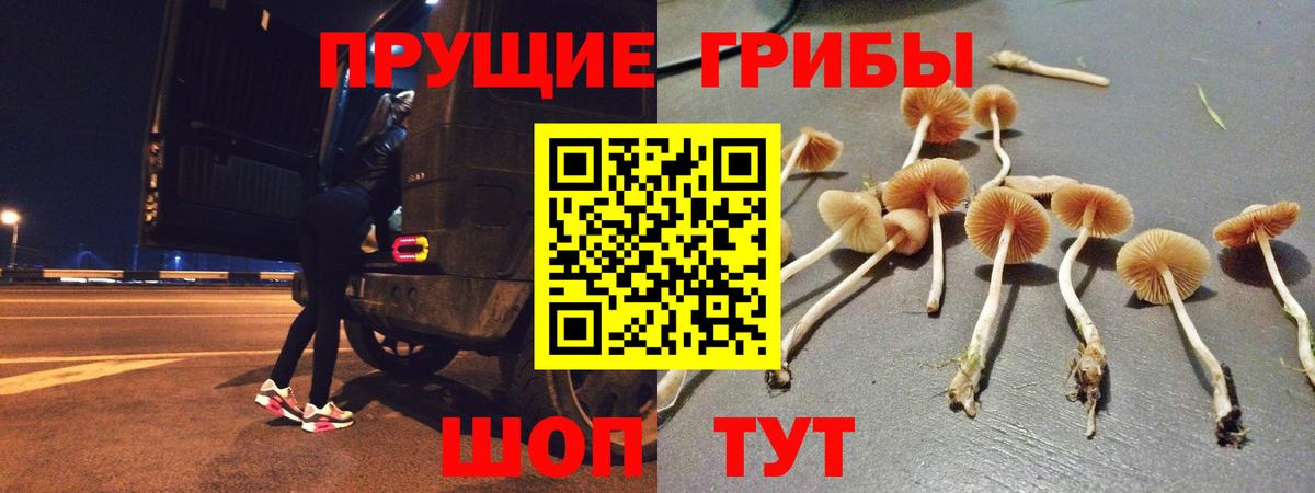 Псилоцибиновые грибы ЛСД Кумертау
